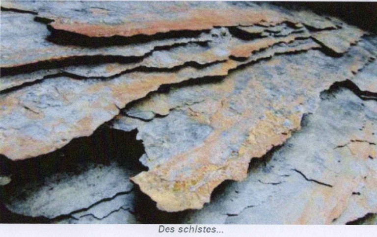 A PROPOS DES SCHISTES PETROLE ET GAZ DE ROCHESMERES